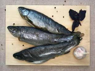 Арахис со вкусом бекона: Форель радужная вяленая